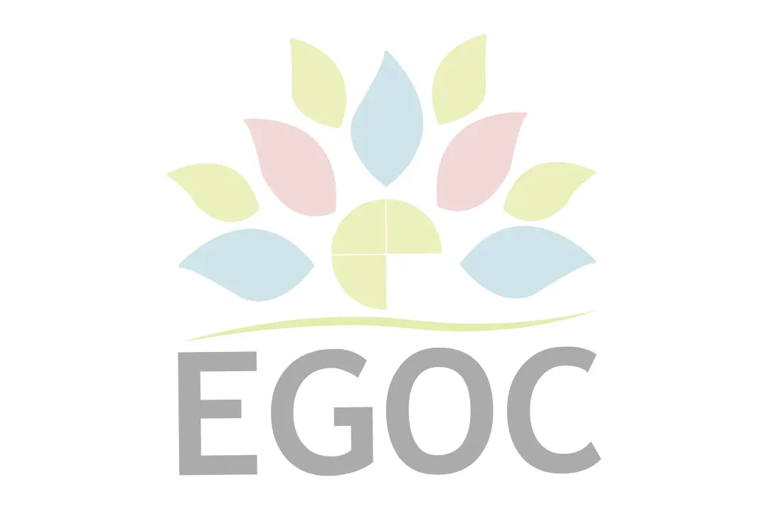 SOCLE COMMUN ACTION SOCIALE - Modules E-Learning - Modalités à compter du 1er janvier 2026